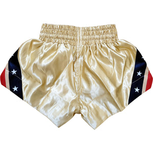 CHEVRON MUAY THAI KICKBOXING SHORTS